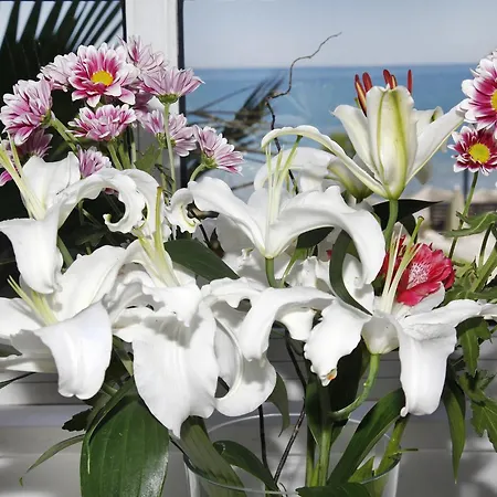 호텔 Rethymno Palace 5*